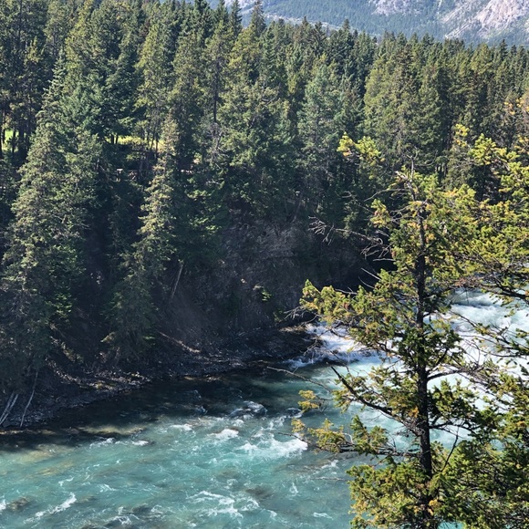 Meet your Posher, Laura - Picture 1 of 1